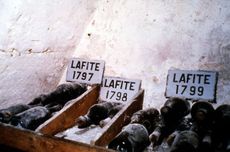 Historic Lafite fine wines in bordeaux