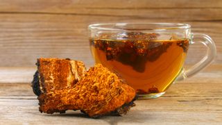 Healing tea from birch mushroom chaga