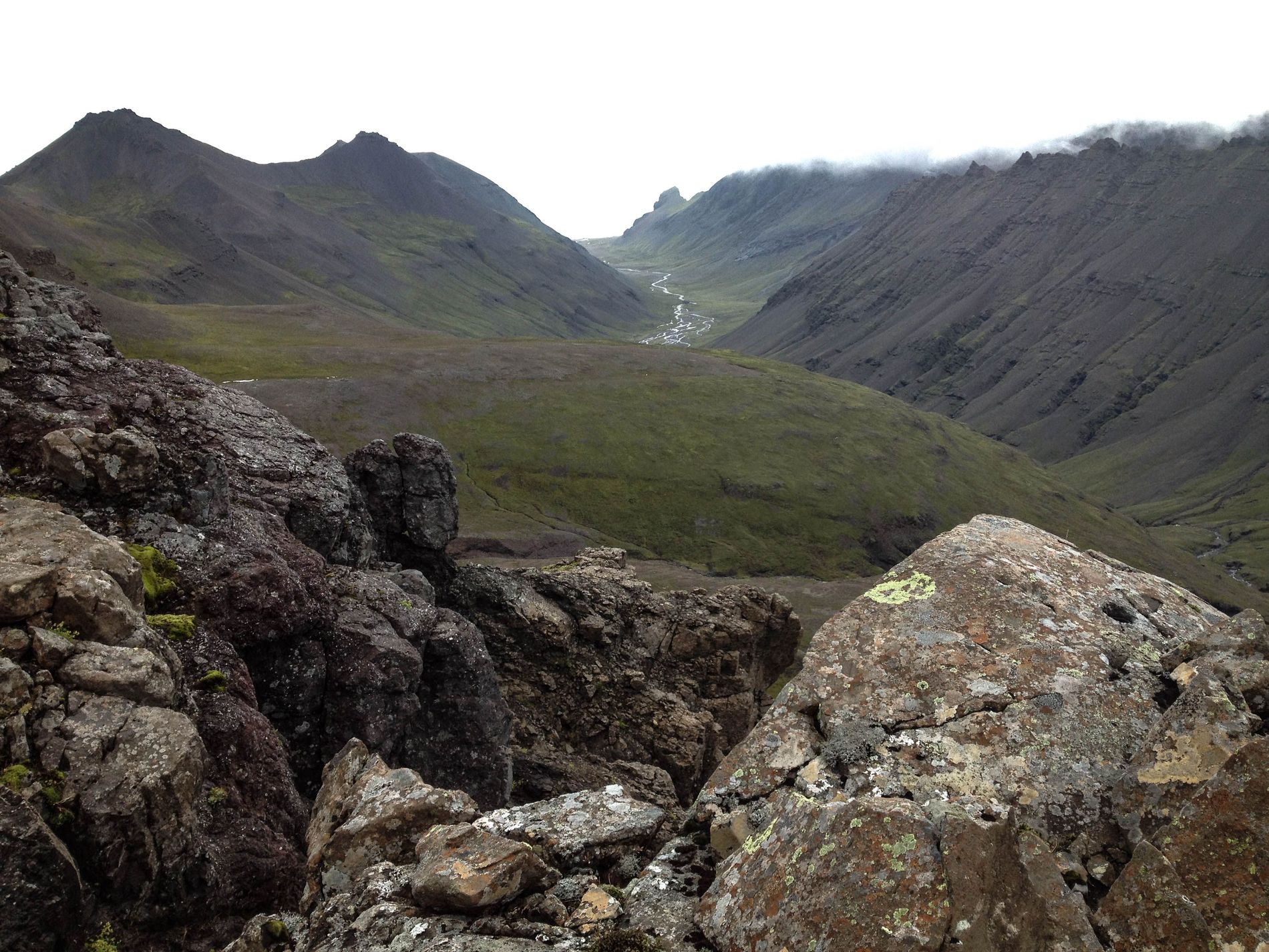 GuruShots - February 2026