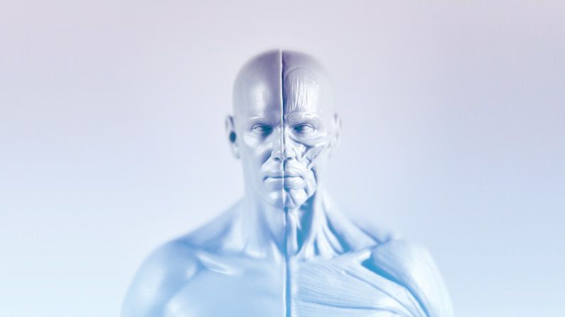 3d figure model for drawing