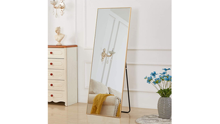 Rose Home Fashion Full Length Mirror