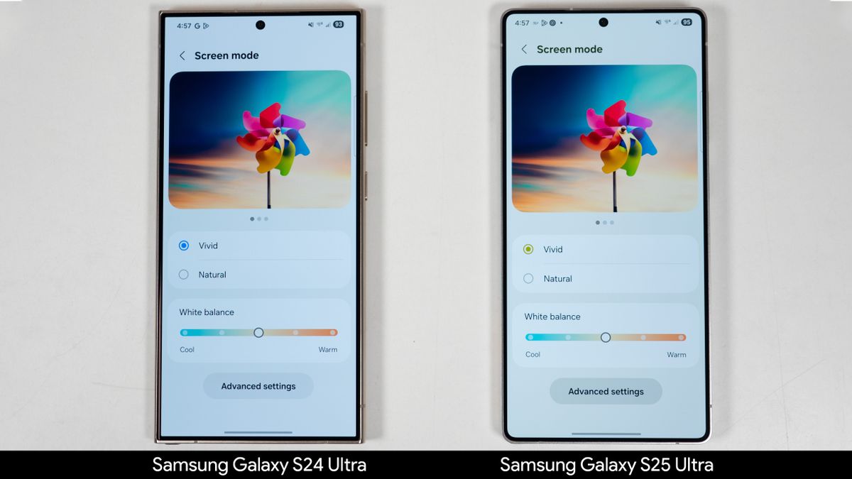 Comparing the color calibration and adjustment settings between the Samsung Galaxy S24 Ultra and Galaxy S25 Ultra