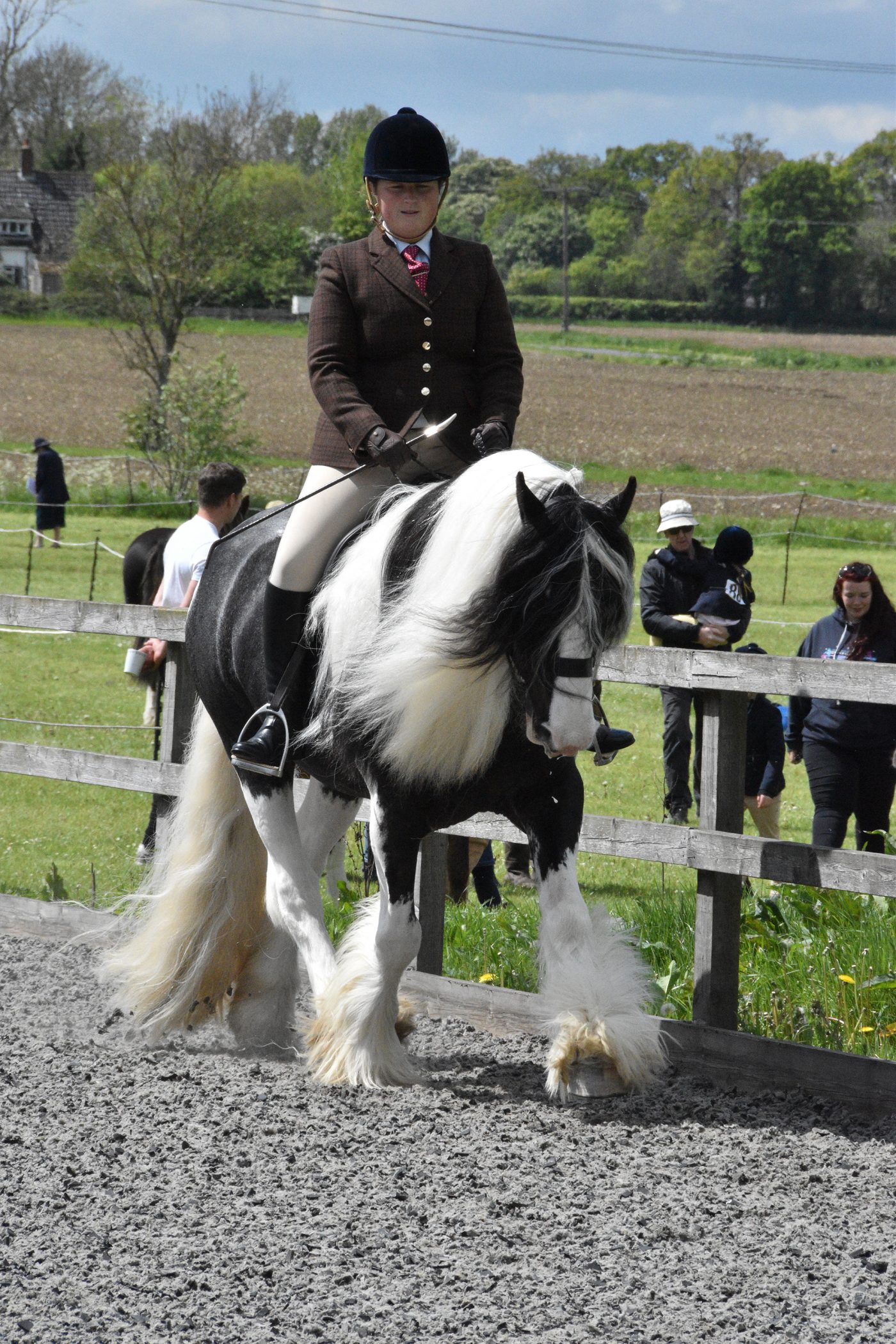 Rebecca-Wright-and-Redwings-Jacob-Best-Ridden-Rescue-e1559726858929.jpg