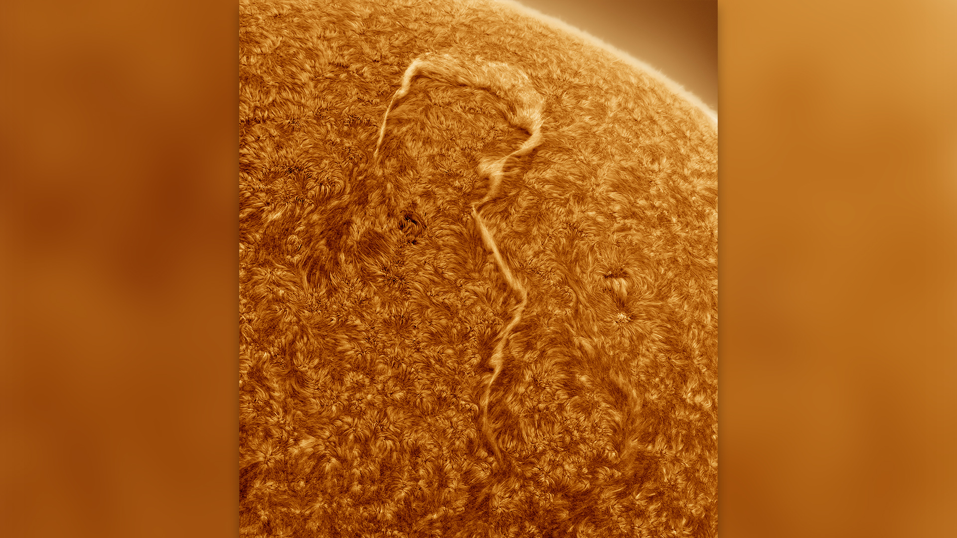 A question mark-shaped solar filament rising from the sun's surface.