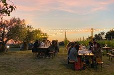 cena-in-vigna-al-tramonto-bis.jpg