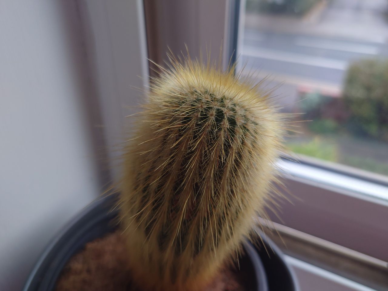 Sony Xperia 5 IV