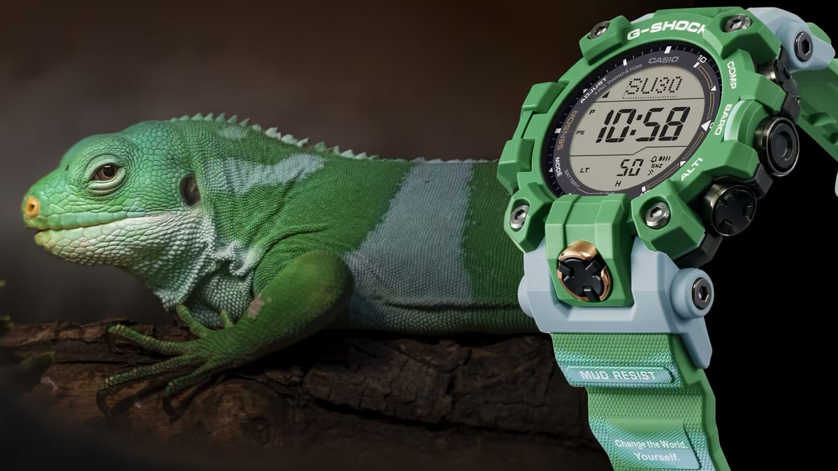 Casio reveals new G-Shock Mudman watch inspired by a rare stripy iguana |  Advnture