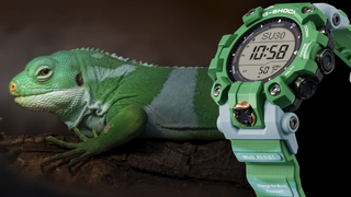 Casio G-Shock Mudman GW-9500KJ-3JR watch and banded iguana