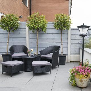 A trio of potted trees line the boundary fence in a paved garden with black and grey outdoor table and chairs in the foreground.