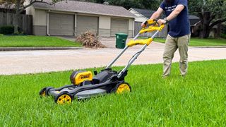 DeWALT DCMWSP244U2 60V MAX* Cordless Brushless RWD Self-Propelled Mower being tested in writer's yard