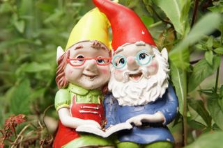 two gnomes