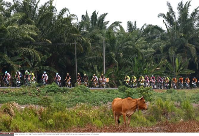 The peloton