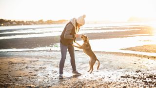 Dog jumping up on owner at the beach