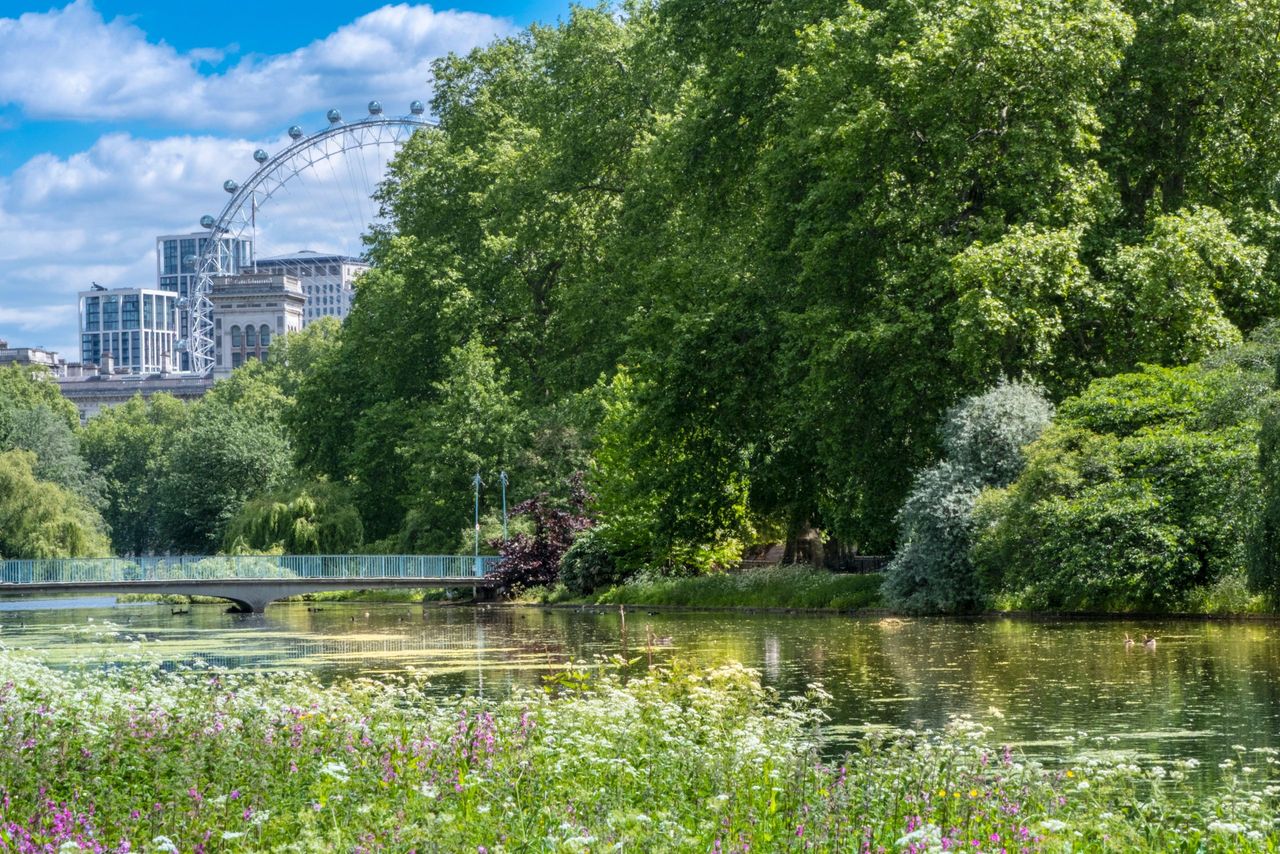 St. James&#039;s Park. Who could need more?