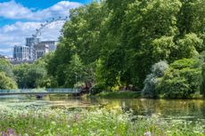 St. James's Park. Who could need more?