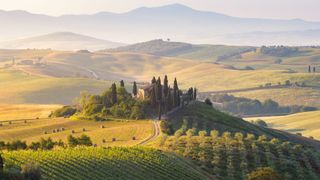 hills and vineyard in Tuscany, Italy