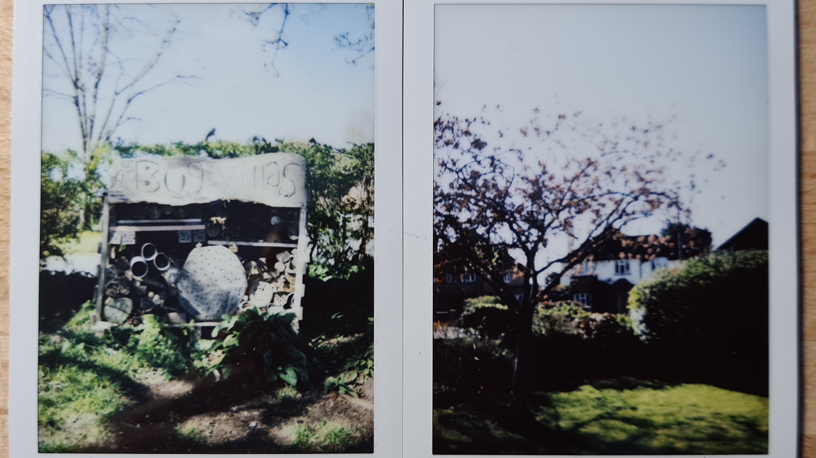 Fujifilm Instax Mini 40