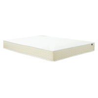 WinkBeds EcoCloud Mattress: from