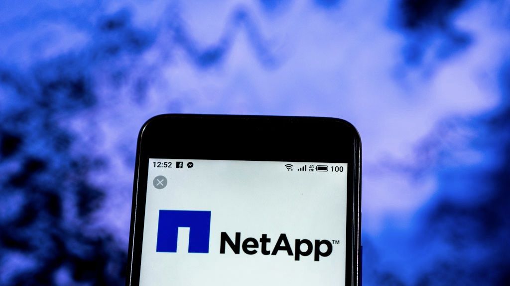 NetApp Company logo seen displayed on a smart phone