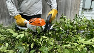 Close up of STIHL HSA 60 hedge trimmer trimming branches on fallen tree