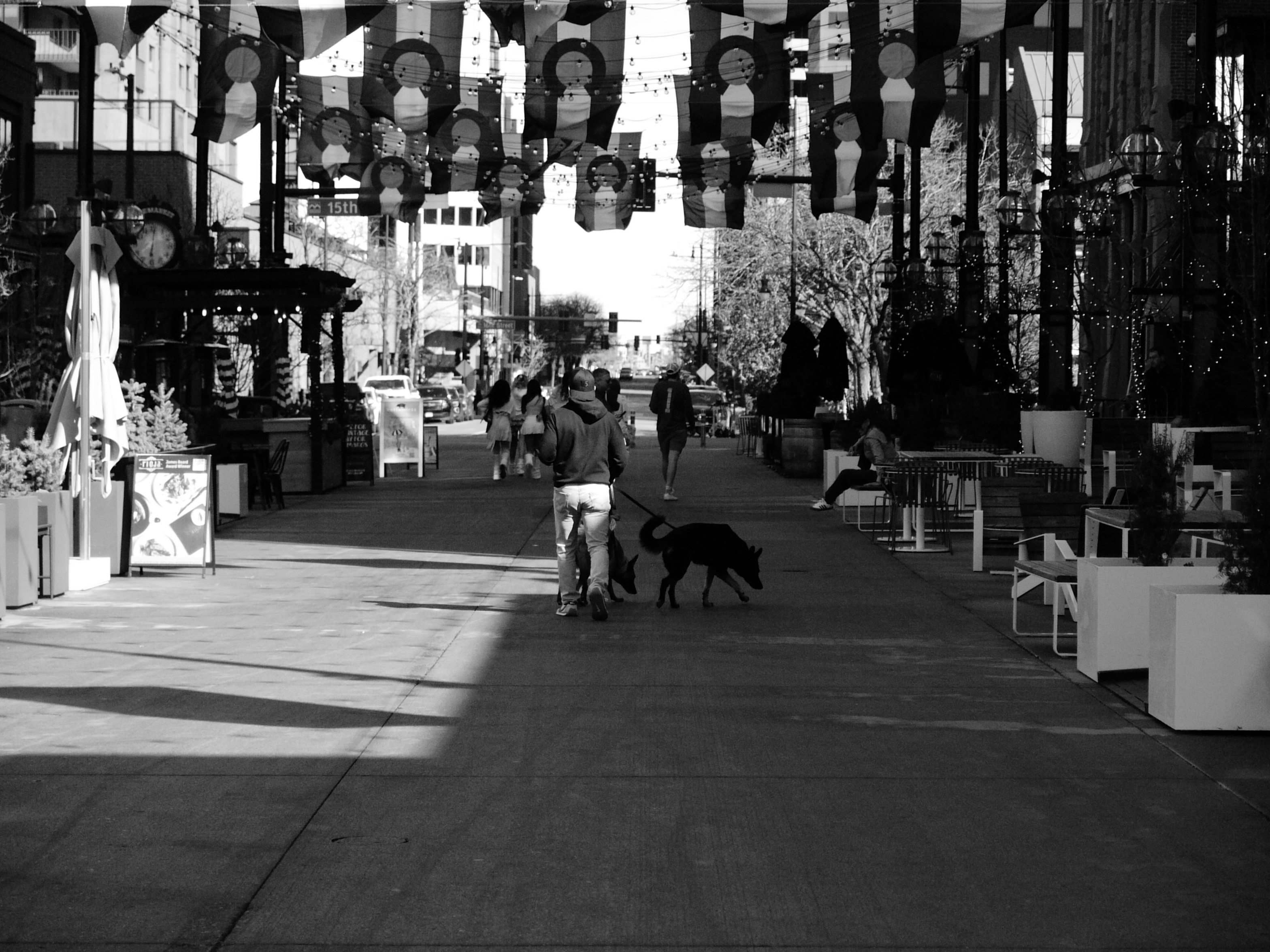 A black and white street photo of a person walking two dogs, shot on the Lumix L1