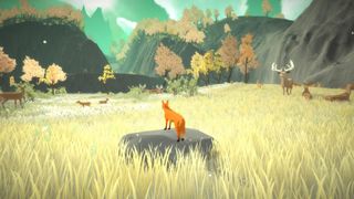 A fox stands on a stone, looking out ver a grassy field