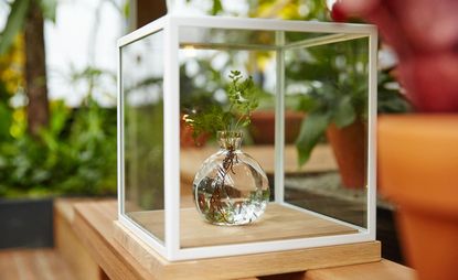 ‘Kub’ vitrine, by Eva Lilja Löwenhielm, for Asplund; ‘Vase Acorn’, by Estrid Ericson, for Svenskt Tenn