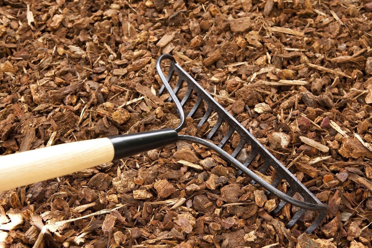 Bow Rake Sitting On Mulch