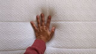 Bear Original mattress with hand resting on it