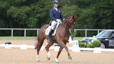Carl_Hester___Brioso_II__1__297293531_506426581.jpeg