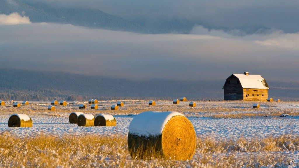 'There are no easy answers here': New study forecasts a dire dip in food production if key Atlantic currents collapse
