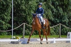 Bicton Horse Trials