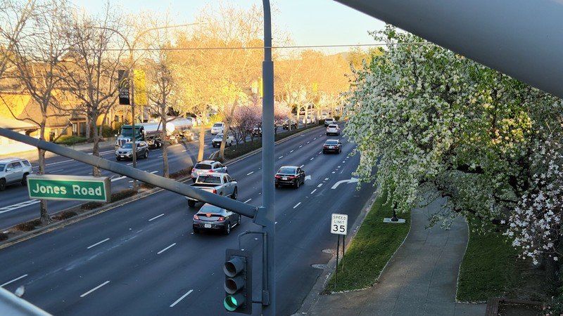 Galaxy S22 Plus Camera Sample