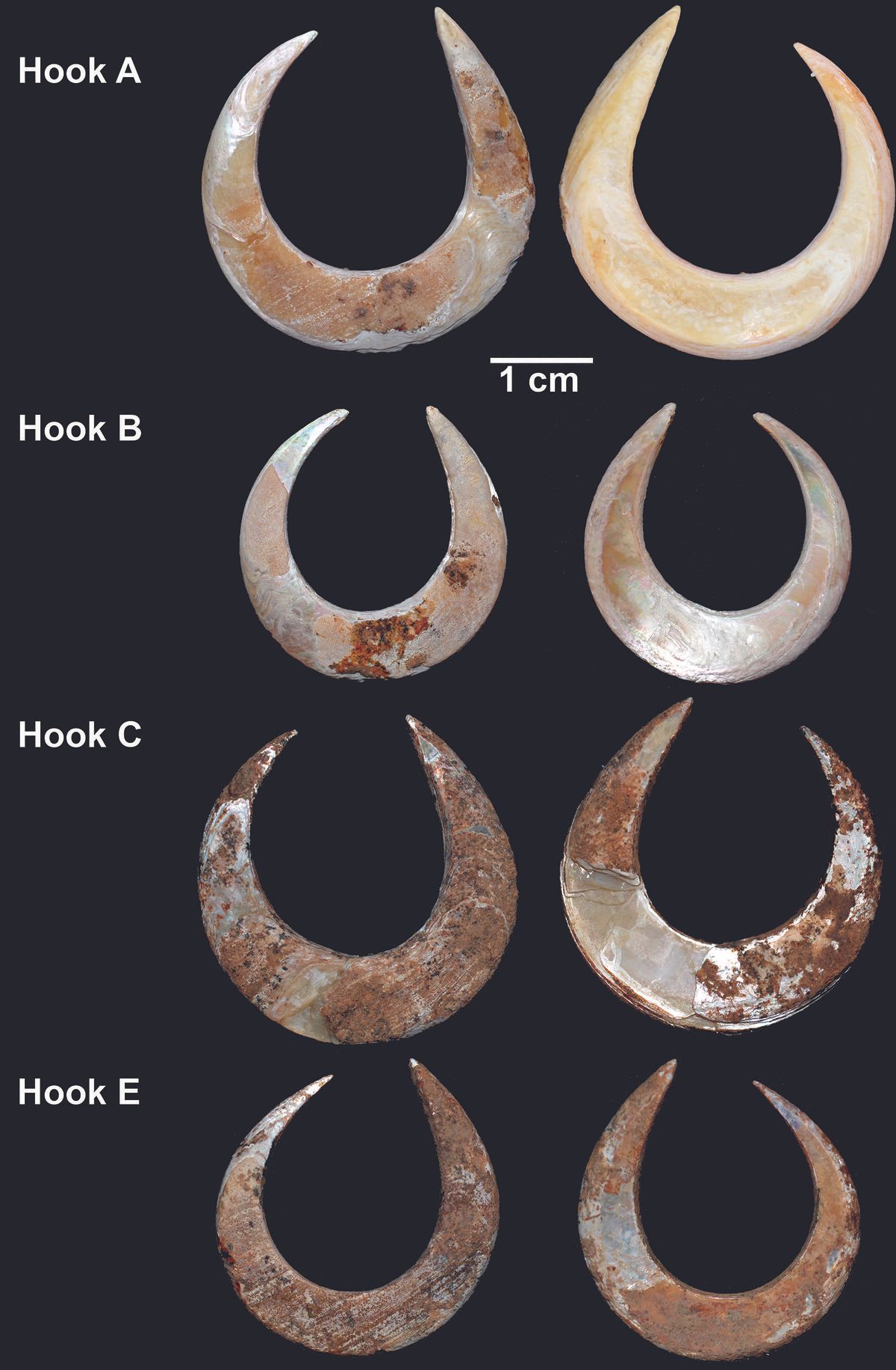 Gone Fishing? 11,500-Year-Old Fishhooks Discovered in Woman's