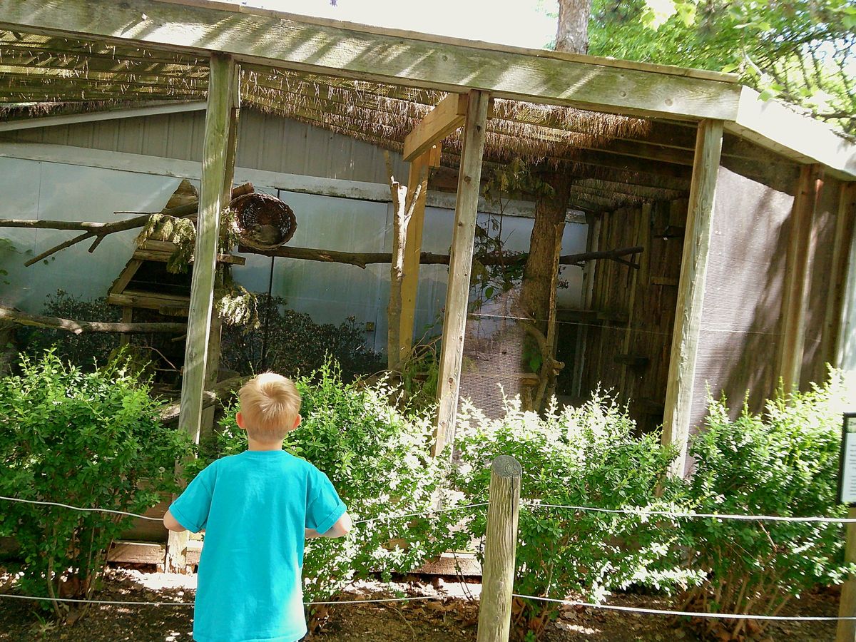 Sample image taken with the Camp Snap 2
