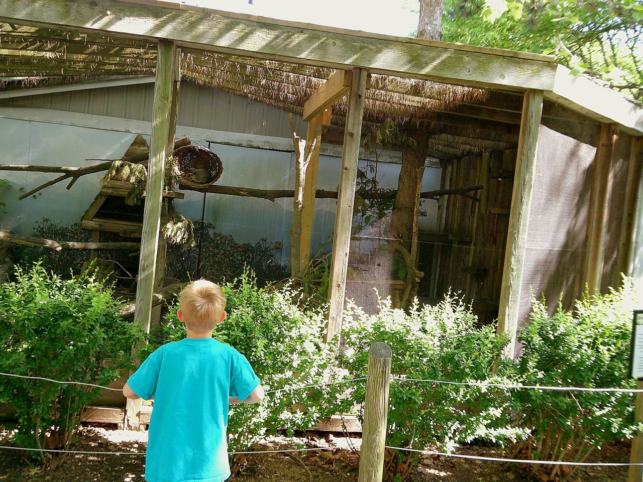 Sample image taken with the Camp Snap 2