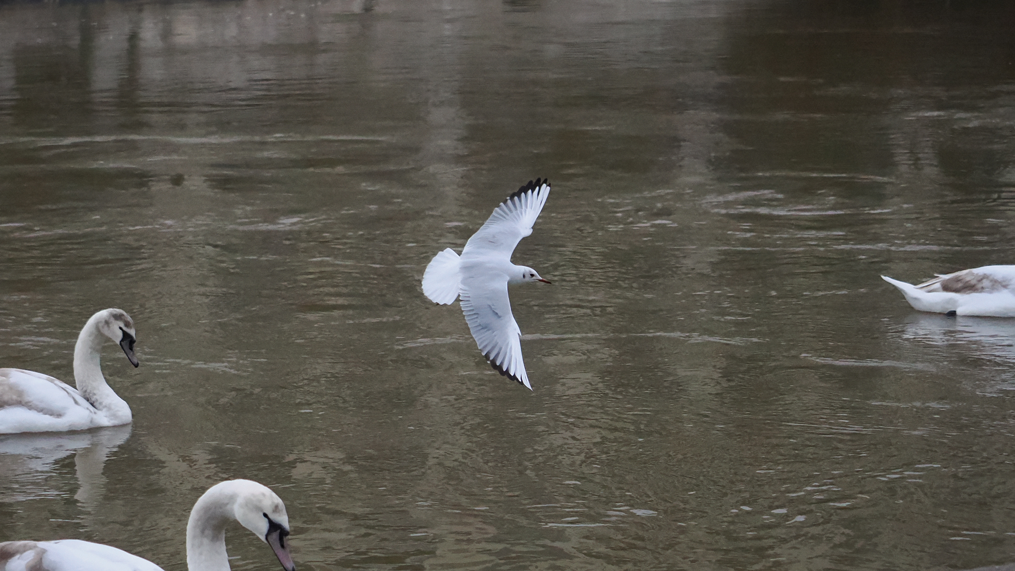 A photo taken on an OM System OM-1 Mark II Micro Four Thirds mirrorless camera