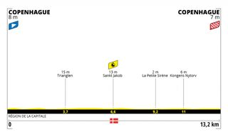 Profile for stage 1 2022 Tour de France