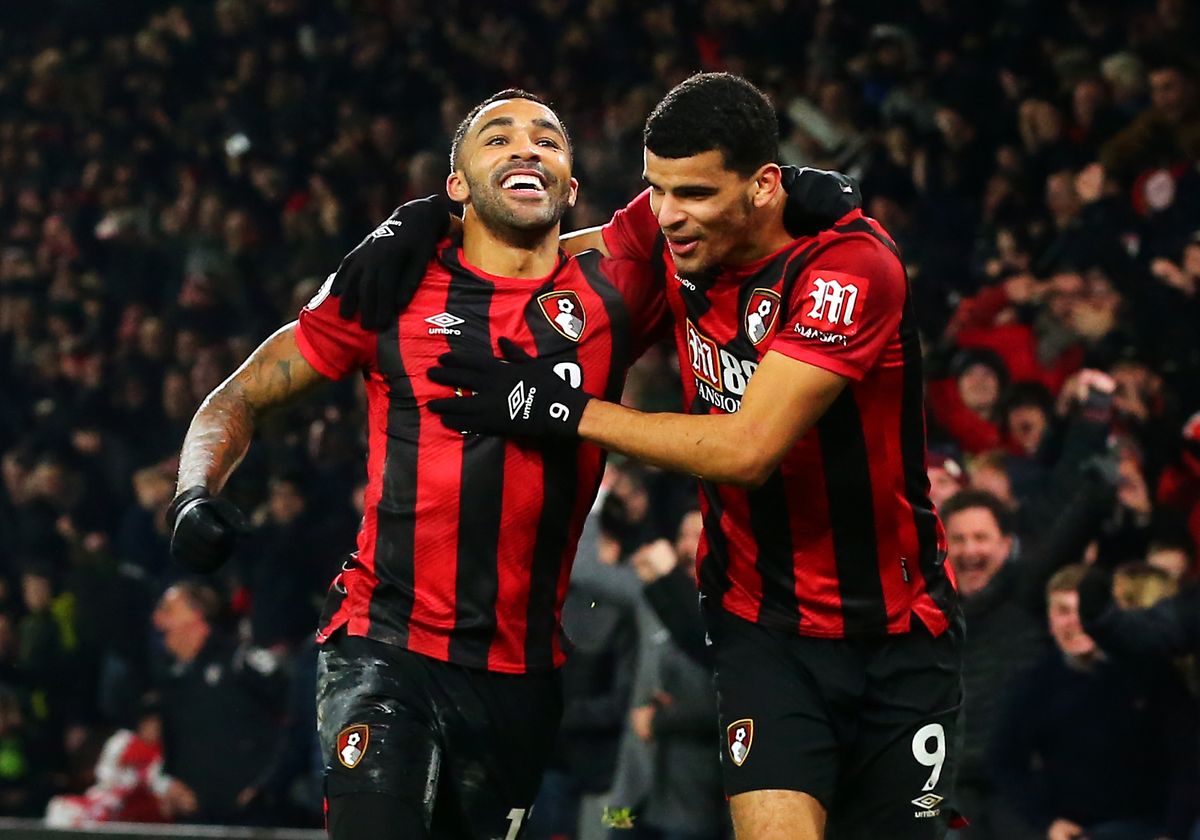 AFC Bournemouth v Brighton and Hove Albion – Premier League – Vitality Stadium