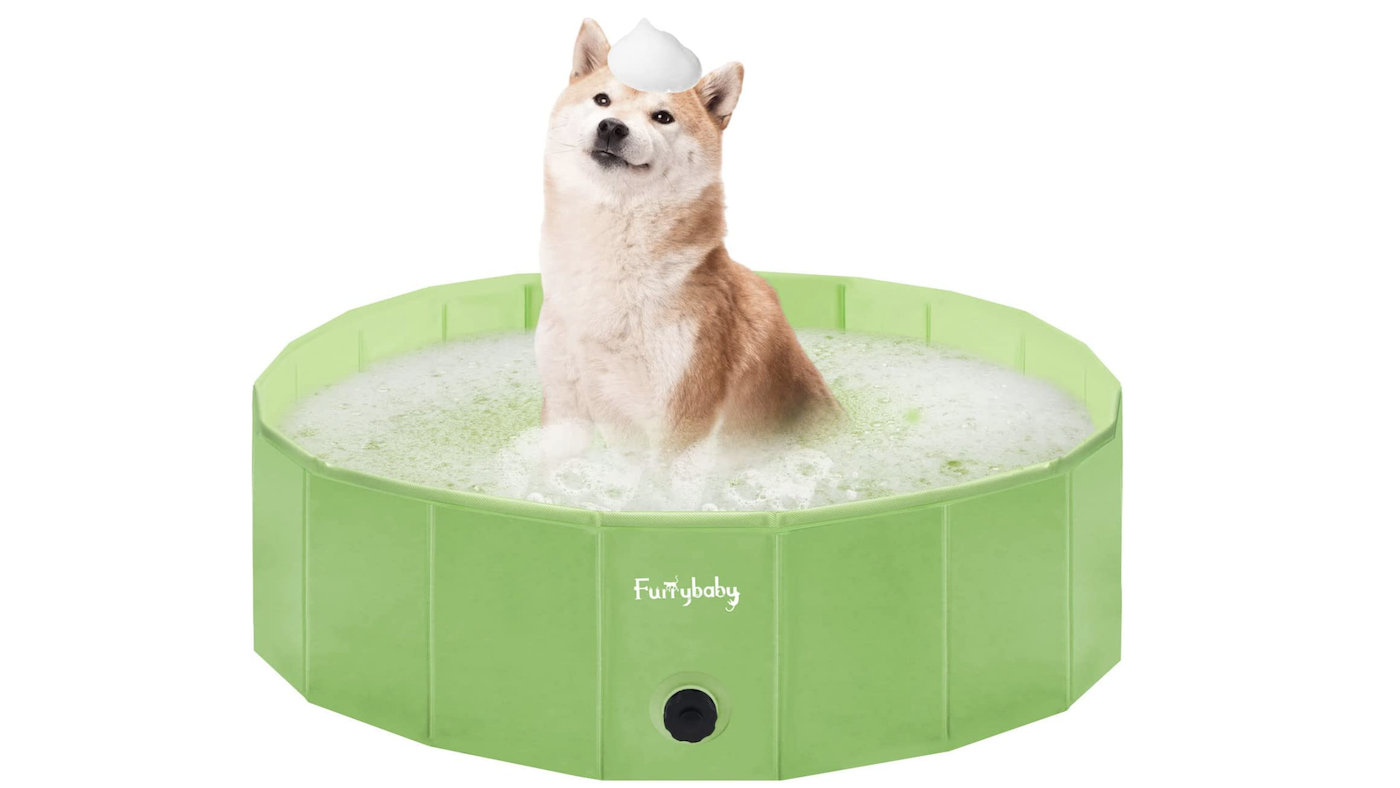 Dog playing in green paddling pool