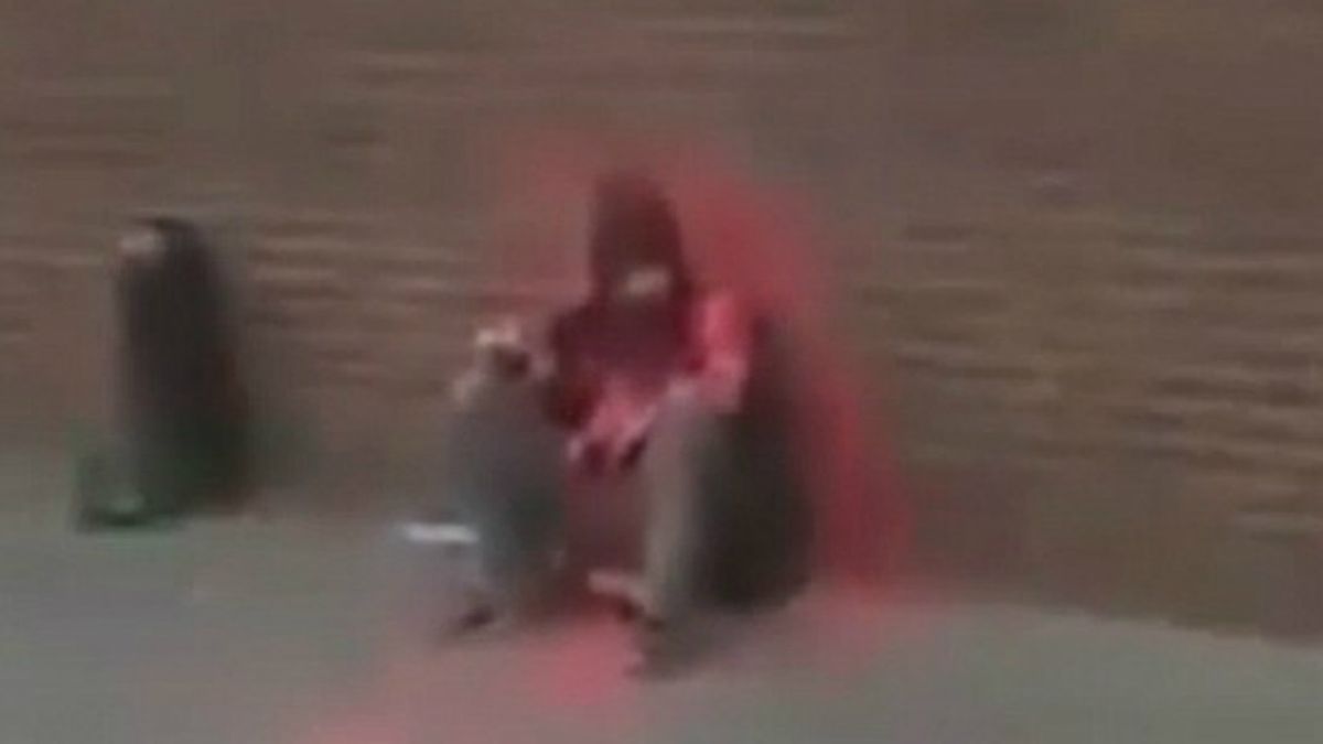 Man arrested after homeless man found dead following paint attack | The ...