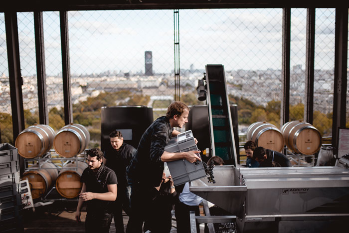 Eiffel Tower winery production