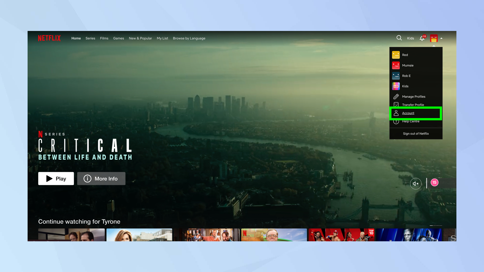 Netflix account settings