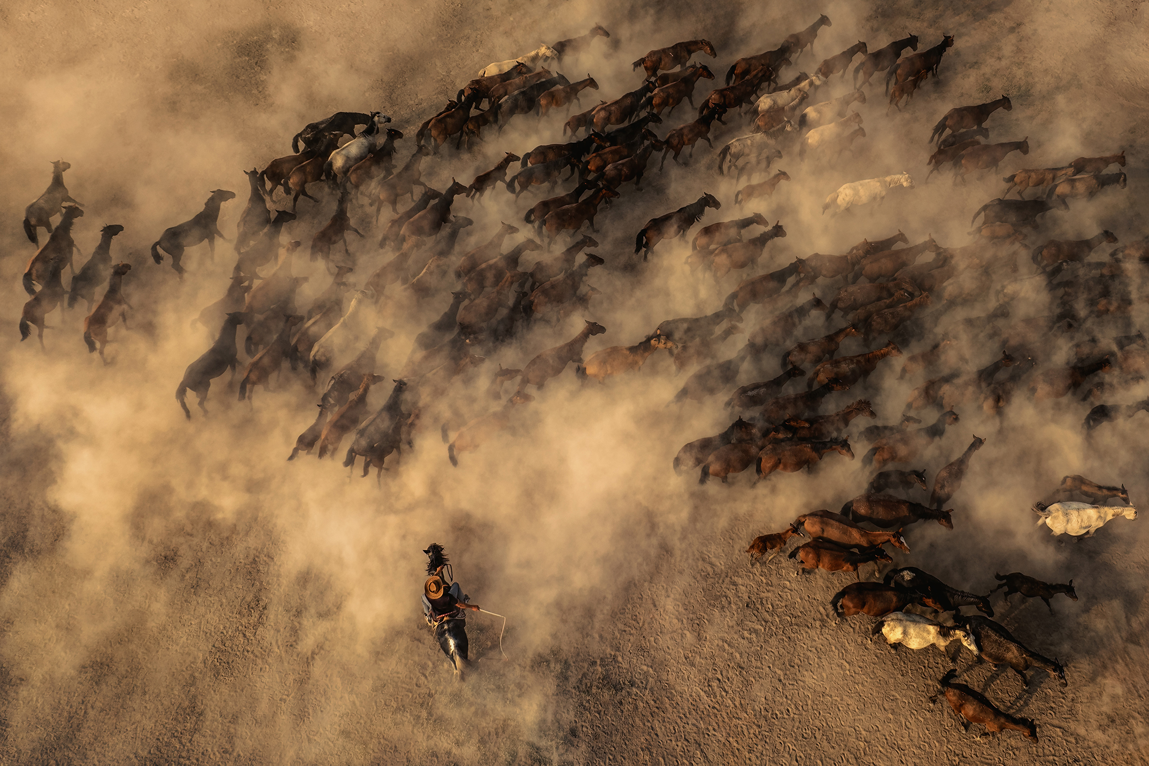 Aerial view of a lone horseman herding a large group of horses through a dusty landscape