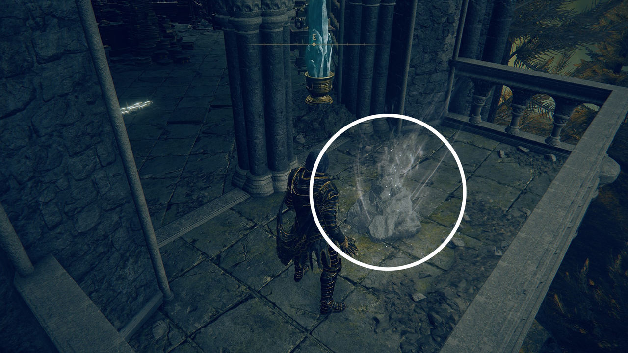 An image displaying the appearance of Sealed Spiritsprings in Elden Ring: Shadow of the Erdtree.