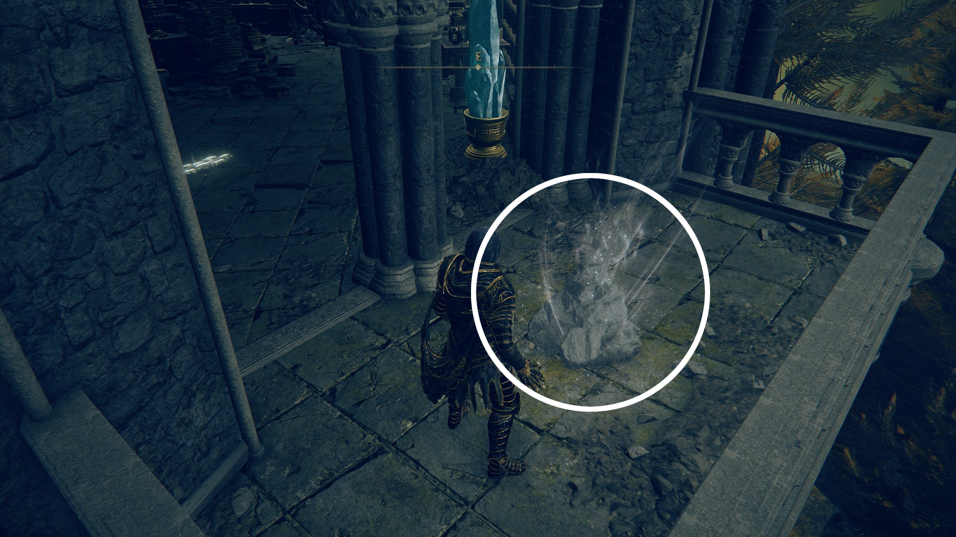 An image displaying the appearance of Sealed Spiritsprings in Elden Ring: Shadow of the Erdtree.