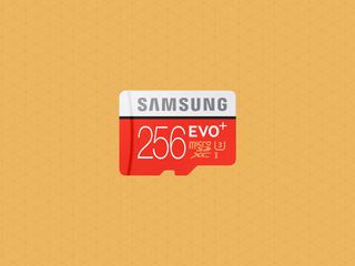256GB Evo+ microSD card