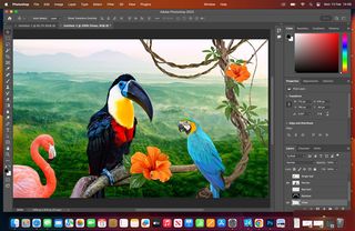 Screenshot of a parrot art file in Photoshop open on a MacBook Pro desktop
