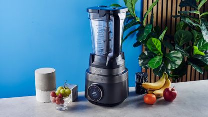 Ninja Crush Boss Blender in black photographed in front of a ble background with fruit. 