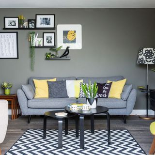 grey living room with sofa and cushions